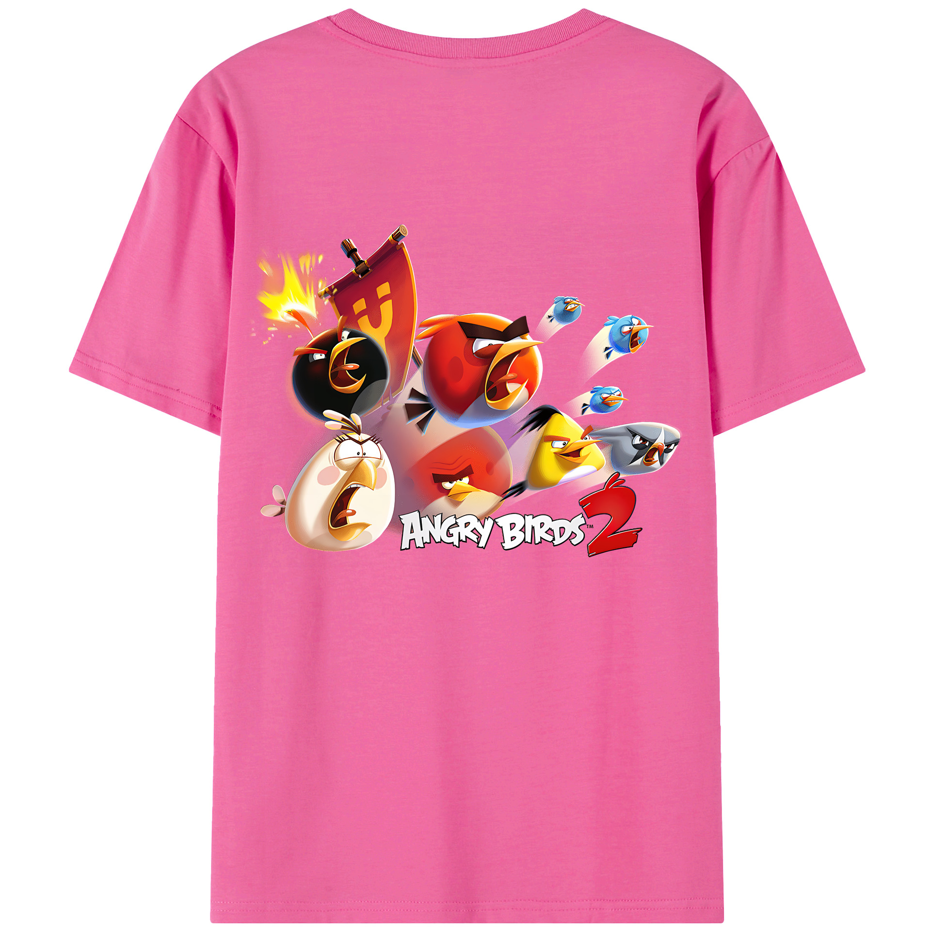 （画像用） Angry Birds アングリーバード レディース半袖Tシャツ(バックプリント)